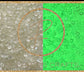 Transparent glow in the dark Resin rhinestones by the size/scoop